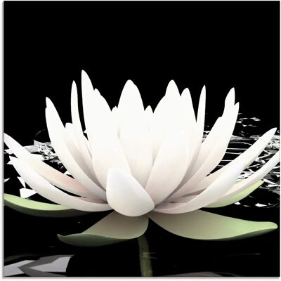 ARTland - Zwei Lotusblumen auf dem Wasser - Schwarz ARTland - Zwei Lotusblumen auf dem Wasser - Schwarz