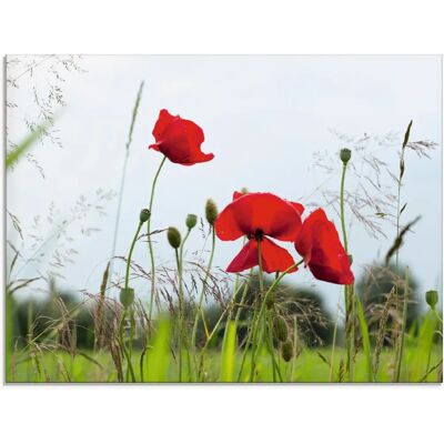 ARTLAND Mohnblumen I Rotes Wandbild - Glasbild ARTLAND Mohnblumen I Rotes Wandbild - Glasbild