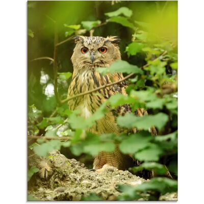 ARTLAND Vogel Uhu Glasbild - Vogel Illustration, 45x60cm ARTLAND Vogel Uhu Glasbild - Vogel Illustration, 45x60cm