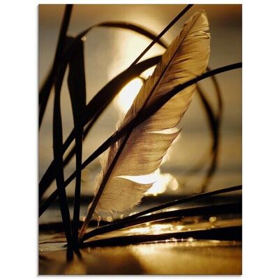 ARTLAND Glasbild "Feder im Abendlicht" ARTLAND Glasbild "Feder im Abendlicht"