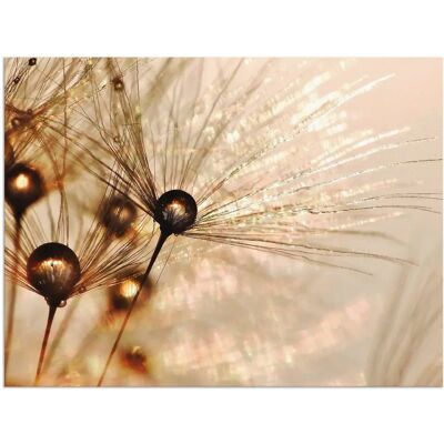 ARTLAND Pusteblume Goldener Tropfen Wandbild - Blumen, Gold - Innen & Außen ARTLAND Pusteblume Goldener Tropfen Wandbild - Blumen, Gold - Innen & Außen