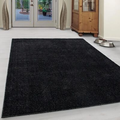Ayyildiz Hali ATA2803707000ANTHRAZIT Teppich - Rechteck Polypropylen Ayyildiz Hali ATA2803707000ANTHRAZIT Teppich - Rechteck Polypropylen