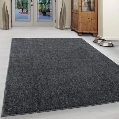 Ayyildiz Hali ATA601007000GREY Teppich Rechteck Polypropylen - Teppich Ayyildiz Hali ATA601007000GREY Teppich Rechteck Polypropylen - Teppich
