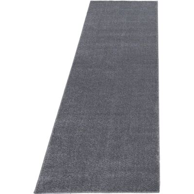 Ayyildiz Hali ATA802507000 Hellgrauer Flächenläufer - Teppich aus Polypropylen Ayyildiz Hali ATA802507000 Hellgrauer Flächenläufer - Teppich aus Polypropylen