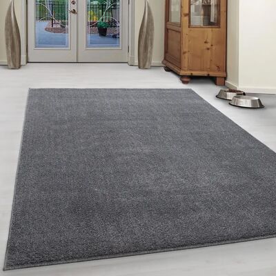 Ayyildiz Modell ATA1602307000 Hellgrau - Teppich Ayyildiz Modell ATA1602307000 Hellgrau - Teppich