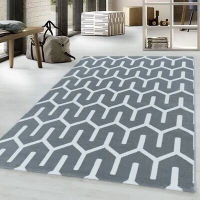 AYYILDIZ - COSTA 3524 - 140x200 - Grau - Rug AYYILDIZ - COSTA 3524 - 140x200 - Grau - Rug