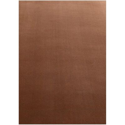 AYYILDIZ TEPPICHE Sky 5400 - Teppich AYYILDIZ TEPPICHE Sky 5400 - Teppich