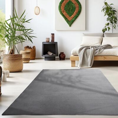 AYYILDIZ TEPPICHE Sky 5400 Grauer Teppich - 120x170cm, 7mm, Waschbar AYYILDIZ TEPPICHE Sky 5400 Grauer Teppich - 120x170cm, 7mm, Waschbar