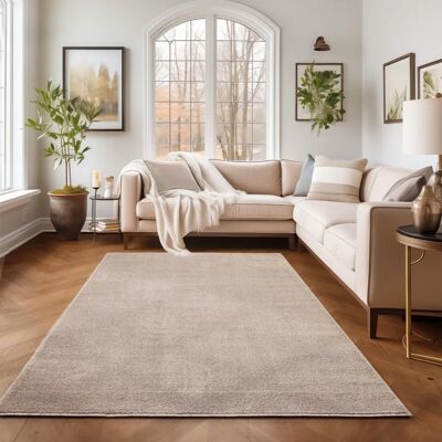 Simpex Tapis à Poil Court ADA Salon Gabbeh Touch Doux Beige - Tapis - Publicité Simpex Tapis à Poil Court ADA Salon Gabbeh Touch Doux Beige - Tapis - Publicité