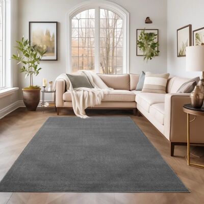 Tapis à poil court Simpex - Salon Gabbeh Monochrome Touch Doux - 160x230 cm - Publicité Tapis à poil court Simpex - Salon Gabbeh Monochrome Touch Doux - 160x230 cm - Publicité
