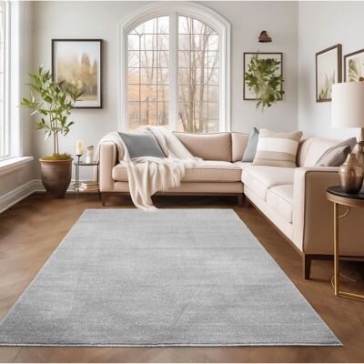 Tapis Gabbeh Monochrome Gris Clair Simpex - Poil Court 160x230 cm - Publicité Tapis Gabbeh Monochrome Gris Clair Simpex - Poil Court 160x230 cm - Publicité
