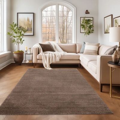 Tapis à poil court Simpex ADA Salon Gabbeh Monochrome Touch Doux - Tapis - Publicité Tapis à poil court Simpex ADA Salon Gabbeh Monochrome Touch Doux - Tapis - Publicité