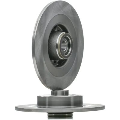 RIDEX Renault Espace Vel Satis 300mm Disco de freno macizo trasero RIDEX Renault Espace Vel Satis 300mm Disco de freno macizo trasero