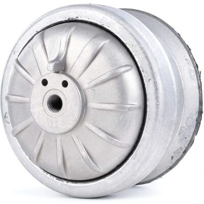 RIDEX Mercedes-Benz Support 247E0060 Hydrauliskt stöd - Motor RIDEX Mercedes-Benz Support 247E0060 Hydrauliskt stöd - Motor
