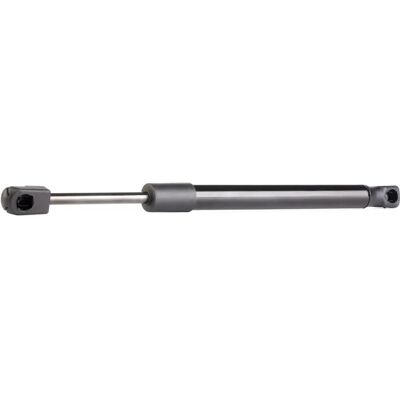 RIDEX 219G0128 Hydraulische kofferklepveer - Kofferklepveer RIDEX 219G0128 Hydraulische kofferklepveer - Kofferklepveer