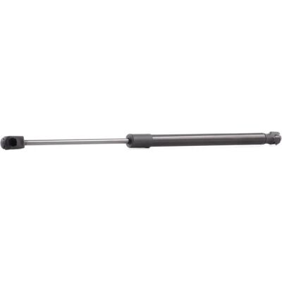 RIDEX Gasveer voor Renault Megane I - Ondersteunt kofferdeksel/klep RIDEX Gasveer voor Renault Megane I - Ondersteunt kofferdeksel/klep