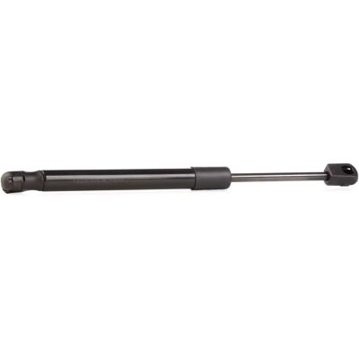 RIDEX - 219G0138 - AUDI A6 - 730N - Gasfjeder RIDEX - 219G0138 - AUDI A6 - 730N - Gasfjeder