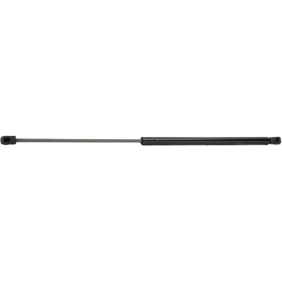 RIDEX Fiat Croma 219G0306 Soporte hidráulico de portón trasero RIDEX Fiat Croma 219G0306 Soporte hidráulico de portón trasero