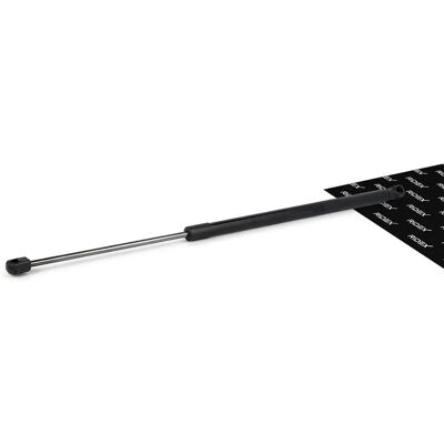 RIDEX 219G0239 Gasveer - Bagagedek voor BMW, Citroën RIDEX 219G0239 Gasveer - Bagagedek voor BMW, Citroën