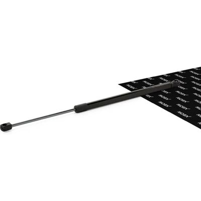 RIDEX 514G0027 Motorhaakveer - Gasveer voor Volkswagen Touareg RIDEX 514G0027 Motorhaakveer - Gasveer voor Volkswagen Touareg