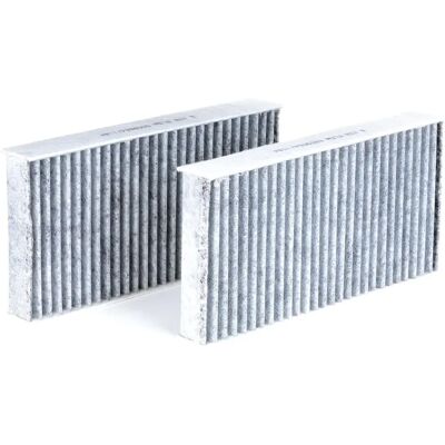 Honda RIDEX 424I0233 Filtro abitacolo a carbone attivo - Filtro aria per auto Honda RIDEX 424I0233 Filtro abitacolo a carbone attivo - Filtro aria per auto