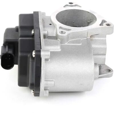 RIDEX Model 1145E0059 EGR-klep met afdichtring - EGR RIDEX Model 1145E0059 EGR-klep met afdichtring - EGR