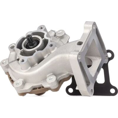 RIDEX Bomba d'água Ford Jaguar 1260W0052 - Bomba d'água RIDEX Bomba d'água Ford Jaguar 1260W0052 - Bomba d'água