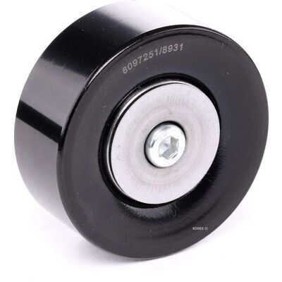 RIDEX Polea tensor de correa para BMW - E91, E46, E90, E60 RIDEX Polea tensor de correa para BMW - E91, E46, E90, E60