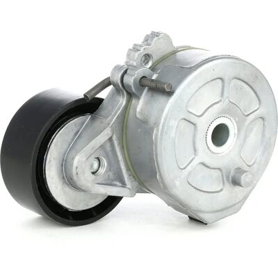RIDEX Poulie tendeur FIAT/PEUGEOT/CITROËN - 310T0039 - Poulie pour courroies - Publicité RIDEX Poulie tendeur FIAT/PEUGEOT/CITROËN - 310T0039 - Poulie pour courroies - Publicité