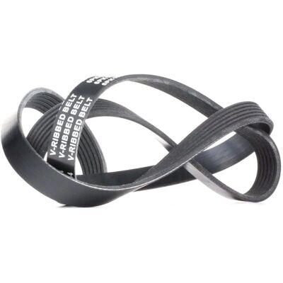 RIDEX Modello 305P0082 - Cinghia a V per Audi, Mercedes-Benz, BMW RIDEX Modello 305P0082 - Cinghia a V per Audi, Mercedes-Benz, BMW