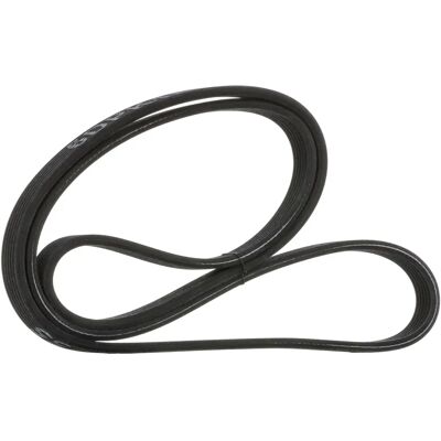 RIDEX BMW Correia Poli-V 305P0191 - Correia de serviço RIDEX BMW Correia Poli-V 305P0191 - Correia de serviço