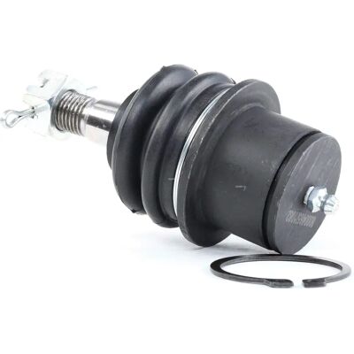 RIDEX Testina sospensione - Chrysler Lancia Dodge RIDEX Testina sospensione - Chrysler Lancia Dodge