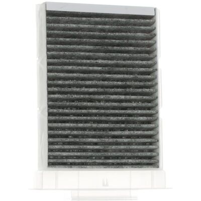 RIDEX Filtro abitacolo Peugeot, Toyota, Citroën - 424I0252 - Carbonio attivo - Per 107 Schrägheck, AYGO, C1 RIDEX Filtro abitacolo Peugeot, Toyota, Citroën - 424I0252 - Carbonio attivo - Per 107 Schrägheck, AYGO, C1