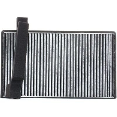 RIDEX 424I0189 - Luchtfilter, actief koolstoffilter voor Saab 9-5 RIDEX 424I0189 - Luchtfilter, actief koolstoffilter voor Saab 9-5