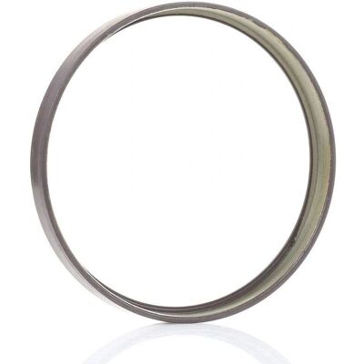 RIDEX 2254S0006 Anello ABS - ABS RIDEX 2254S0006 Anello ABS - ABS