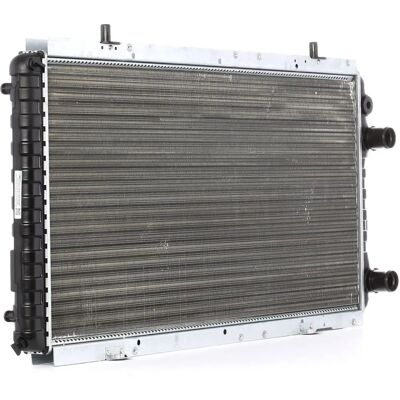 RIDEX Radiatore in Alluminio Fiat Peugeot Citroën - Radiatore RIDEX Radiatore in Alluminio Fiat Peugeot Citroën - Radiatore