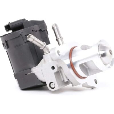 RIDEX BMW EGR-ventiel met afdichtring - EGR Ventiel RIDEX BMW EGR-ventiel met afdichtring - EGR Ventiel