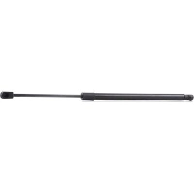 RIDEX Renault Scenic II Gasveer - Gasveer, achter, 219G0307 RIDEX Renault Scenic II Gasveer - Gasveer, achter, 219G0307