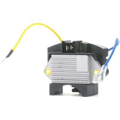 RIDEX Regolatore Alternatore VW, AUDI, FORD - Regolatore Alternatore RIDEX Regolatore Alternatore VW, AUDI, FORD - Regolatore Alternatore