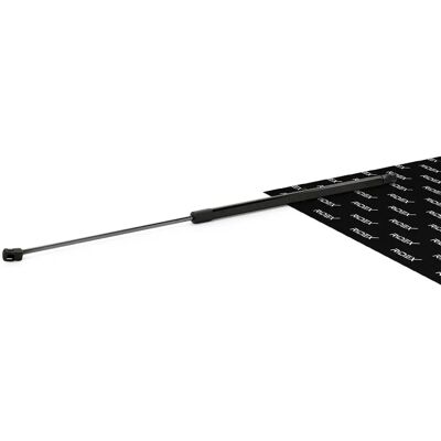 RIDEX Audi Gasveer 514G0100 - Gasveer RIDEX Audi Gasveer 514G0100 - Gasveer