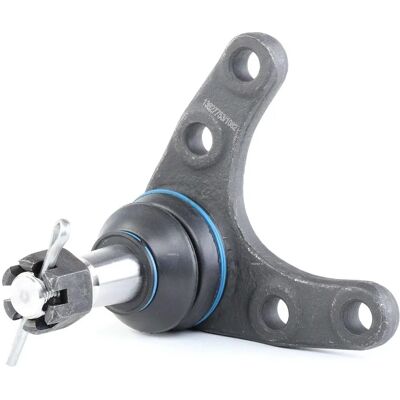 RIDEX 2462S0163 Vering scharnier - Ford Mazda 4WD RIDEX 2462S0163 Vering scharnier - Ford Mazda 4WD