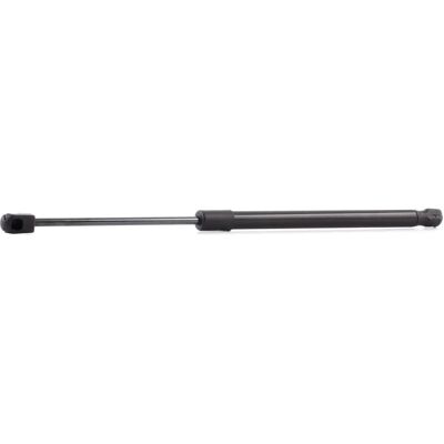 RIDEX Passat Variant Gassylinder - Bagasjeromsdempere RIDEX Passat Variant Gassylinder - Bagasjeromsdempere