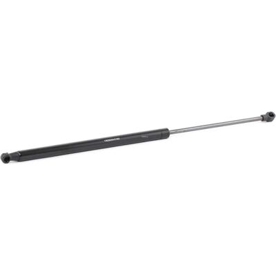 RIDEX Renault Scenic III - Pistoncino del portellone - 219G0516 RIDEX Renault Scenic III - Pistoncino del portellone - 219G0516