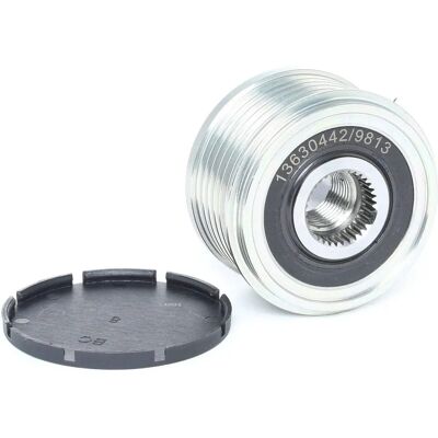 RIDEX Polea de Alternador para Ford Fiat Peugeot - Polea de alternador RIDEX Polea de Alternador para Ford Fiat Peugeot - Polea de alternador