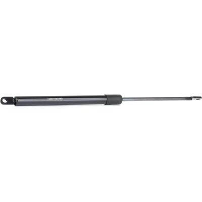 RIDEX Fiat BARCHETTA Gasfeder - Hinten RIDEX Fiat BARCHETTA Gasfeder - Hinten