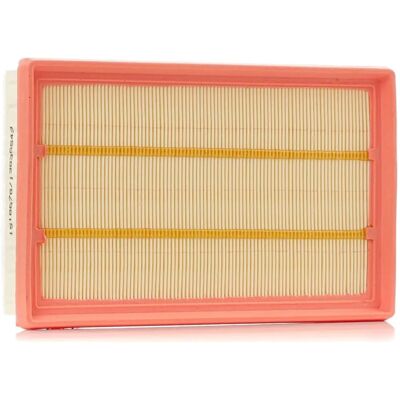 RIDEX FIAT Luchtfilter 8A0636 - Luchtfilter RIDEX FIAT Luchtfilter 8A0636 - Luchtfilter