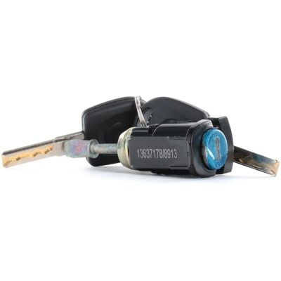 RIDEX VW Golf IV Bora Cilindro de Cerradura - Cilindro de cierre RIDEX VW Golf IV Bora Cilindro de Cerradura - Cilindro de cierre