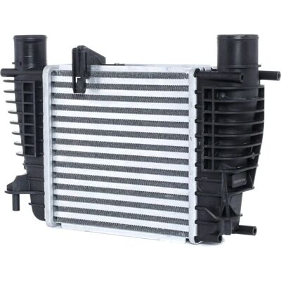 RIDEX Intercooler 468I0069 - Voor Renault, Nissan RIDEX Intercooler 468I0069 - Voor Renault, Nissan