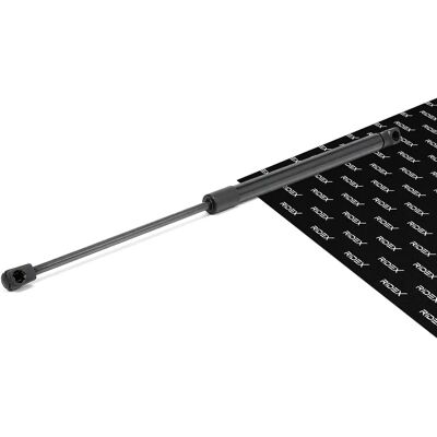 RIDEX Hydraulische achterklepsteun voor Sandero Stepway RIDEX Hydraulische achterklepsteun voor Sandero Stepway