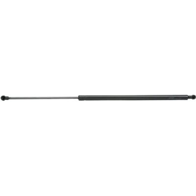 RIDEX Renault Grand Scénic III Gasveer - Achterklep RIDEX Renault Grand Scénic III Gasveer - Achterklep